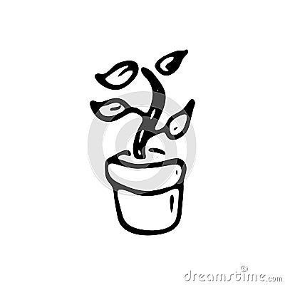 Hand drawn plant in the pot doodle. Sketch Back to school, icon. Vector Illustration