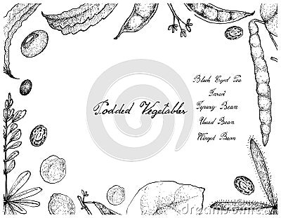 Hand Drawn of Podded Vegetables Frame on White Background Vector Illustration