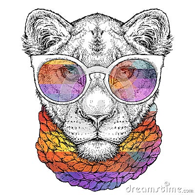 Hand drawn portrait of cute Lioness in glasses and scarf. Vector illustration isolated on white Vector Illustration