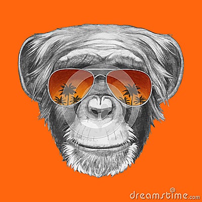 Hand drawn portrait of Monkey with mirror sunglasses. Vector Illustration