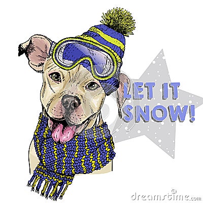 Hand drawn portrait of pit bull terrier dog wearing hat, goggles and scarf. Vector Christmas illustration. Colored puppy Vector Illustration