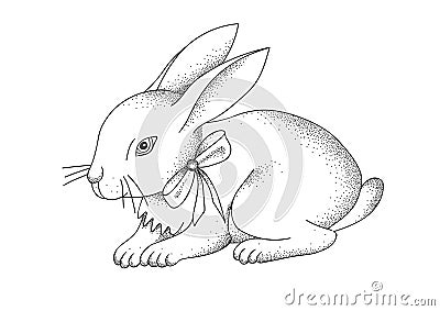 Hand-drawn portrait of rabbit. Easter bunny. Vector illustration Vector Illustration