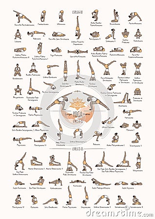 Iyengar yoga poses levels 6-15 Vector Illustration