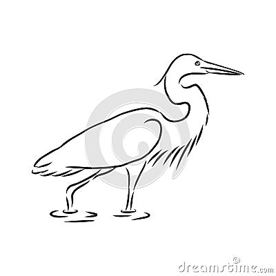 Beautiful Heron, wild wading bird, vector sketch illustration Stock Photo