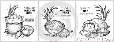 Hand drawn rice label. Retro sketch organic cereal grains in bag and bowl. Farm basmati and wild jasmine rice. Vector Vector Illustration