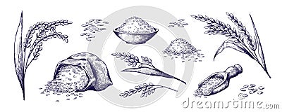 Hand drawn rice. Organic cereal in bag and rice porridge in bowl, sketch doodle set of wild jasmine steamed and basmati Vector Illustration