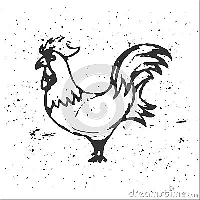 Hand drawn rooster on white background. Roosters silhouette. The Stock Photo