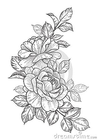 Hand Drawn Floral Bunch with Roses and Leaves Vector Illustration