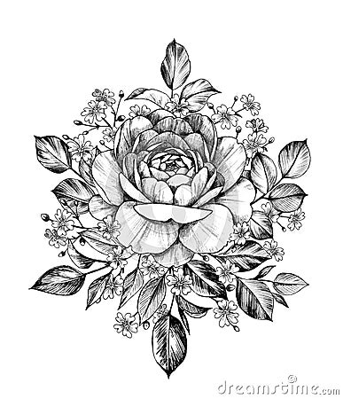 Hand drawn Rose with Gypsophila Stock Photo