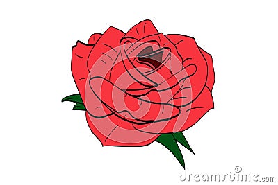 Hand-drawn `rose` with leaves executed in red with elements of green leaves Vector Illustration