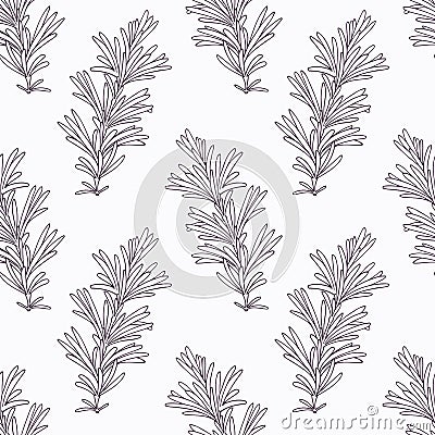 Hand drawn rosemary branch outline seamless Vector Illustration