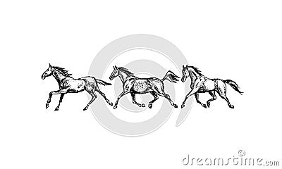 Hand drawn running horses Vector Illustration