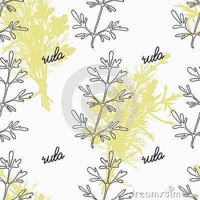 Hand drawn ruta or rue branch and handwritten sign Vector Illustration