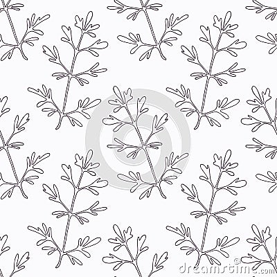 Hand drawn ruta or rue branch outline seamless Vector Illustration