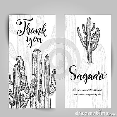 Hand drawn saguaro cactus Vector Illustration