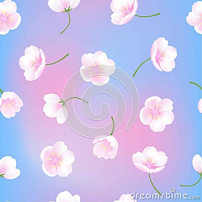 Hand drawn sakura blossom peach white flowers botanical decorative illustration, blue pink gradient seamless vector background Vector Illustration