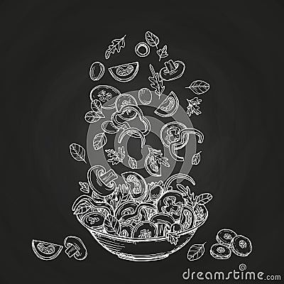 Hand drawn salad isolated on chalkboard background Vector Illustration