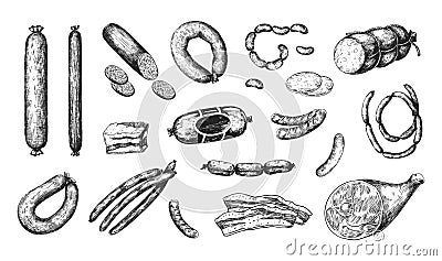 Hand drawn sausage. Engraved meat food. Isolated jamon and bacon. Pork bologna chorizo or mortadella. Ham and salami Vector Illustration