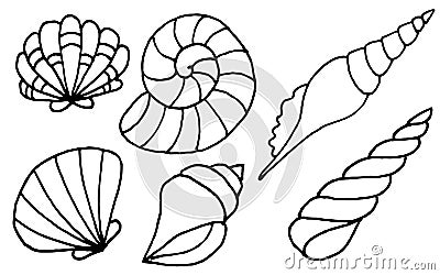 Hand drawn sea shells collection. Marine illustration for coloring books Cartoon Illustration