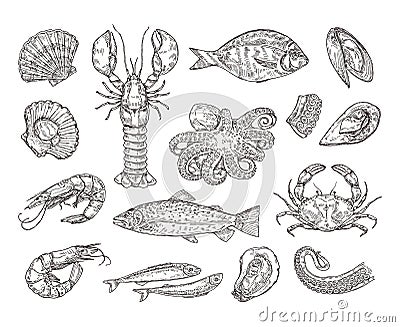 Hand drawn seafood. Hand drawn crab, shrimp and octopus. Sea scallops, shellfish and salmon vector illustration set Vector Illustration