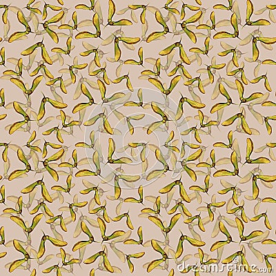 Hand drawn seamlees pattern watercolor winged seeds maple tree isolated in beige background. Stock Photo