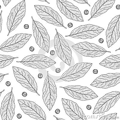 Spices seamless pattern. Vector Illustration