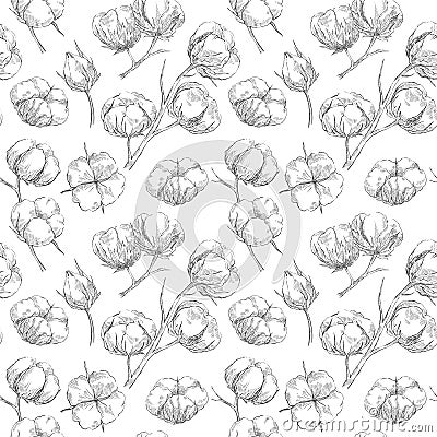 Seamless cotton pattern Vector Illustration