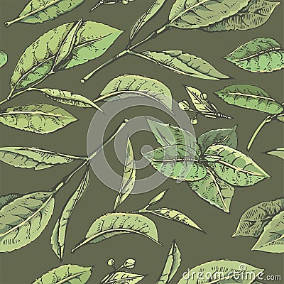 Hand-drawn seamless pattern matcha leaves on the green background. Vector Illustration