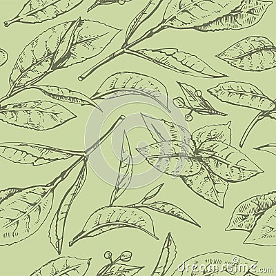 Hand-drawn seamless pattern matcha leaves on the green background Vector Illustration