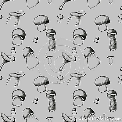 Hand drawn seamless pattern with mushrooms. Vector Illustration