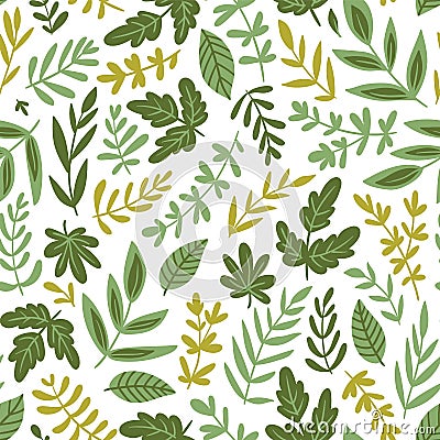 Hand drawn seamless pattern - salad greens and leaves isolated on white background in trendy organic style. Vector illustration. Vector Illustration