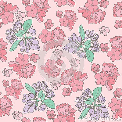 Vector pink blossom flowers cherries background Vector Illustration
