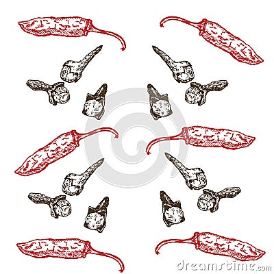 Hand drawn seamless pattern of spices set. Hot pepper and cloves. Spices vector illustration isolated on white Vector Illustration