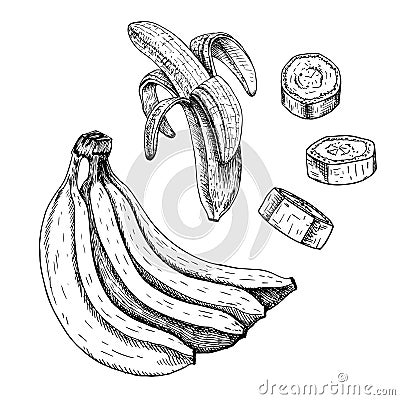 Hand drawn set of banana. Vector sketch Vector Illustration