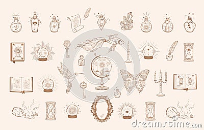 Hand drawn set of beige mystical glass bottle, crystal ball, book, mirror, globe, hourglass, goldfish, hummingbird, butterfly in Vector Illustration