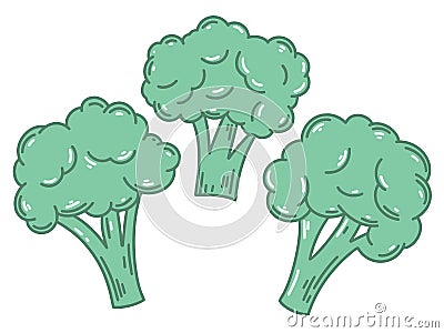 Hand drawn set of broccoli Vector Illustration