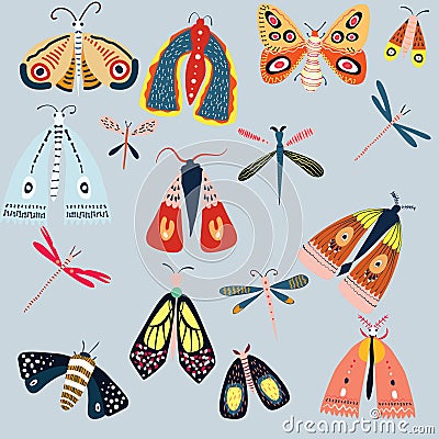 A hand drawn set of different insects Vector Illustration