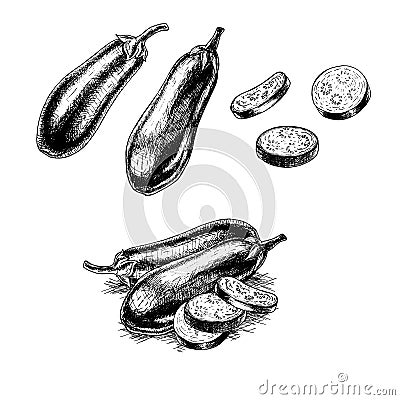 Hand drawn set of eggplant. Vector sketch Vector Illustration