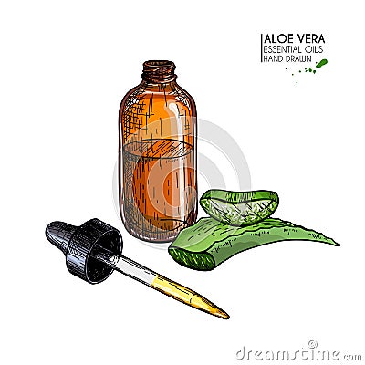 Hand drawn set of essential oils. Vector aloe vera. Medicinal herb with glass dropper bottle. Engraved colored art. Good Vector Illustration