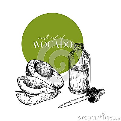 Hand drawn set of essential oils. Vector avocado slices. Medicinal plant with glass dropper bottle. Engraved art. Good Vector Illustration