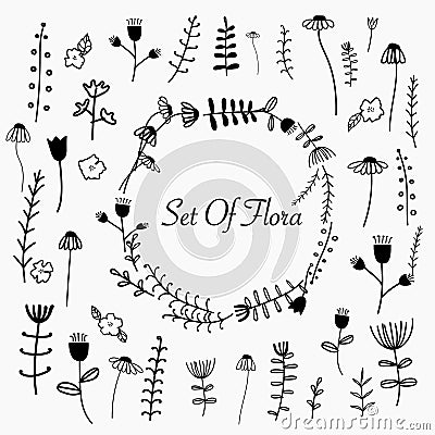 Hand Drawn Set Of Flora. Vector Illustration