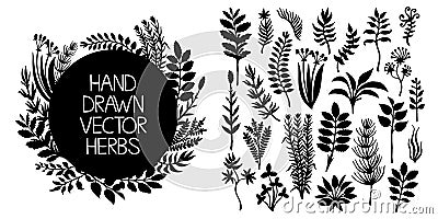 Hand drawn set of herbs and plants. Vector design elements. Vector Illustration