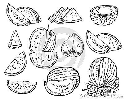 Hand drawn set illustration watermelon Cartoon Illustration