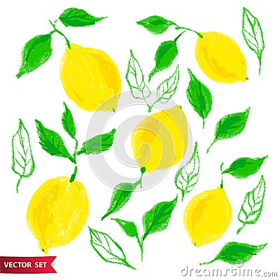Hand drawn set of lemon fruit with texture. Food element collection. Vector illustration of lemons with leaves. Floral Vector Illustration