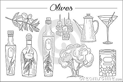 Hand drawn set of olive tree, branch, oil bottles with herbs, martini glass, tasty snacks. Fresh and natural product Vector Illustration