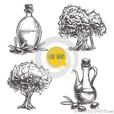 Hand drawn set of olive trees and bottles with olive oil. Vector Illustration