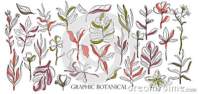 Hand drawn set sketch style Wild flowers . Line nature style,Drawing flora,hand drawn botany Cartoon Illustration