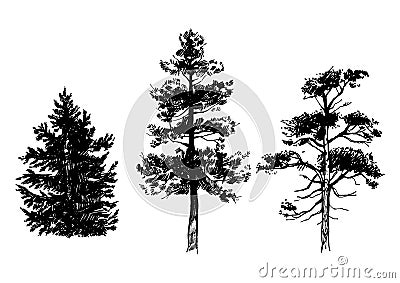 Hand drawn set of trees Vector Illustration