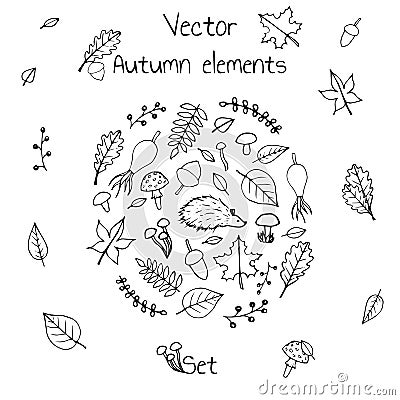 Hand drawn set of vector autumn elements. Includes foliage, berries, mushrooms and a hedgehog. Vector Illustration