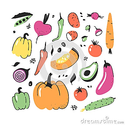 Hand drawn set of vegetable. Vector artistic drawing food. Summer illustration red onion, pumpkin, radish, potato Vector Illustration